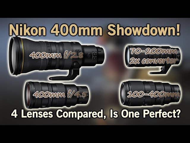 Nikon 400mm Utimate Lens Comparison