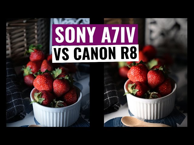 Canon R8 vs Sony A7iv