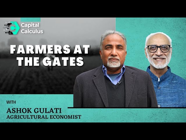 Punjab Farmers Demand MSP Law | In Conversation With Ashok Gulati | #india #agriculture #farmer