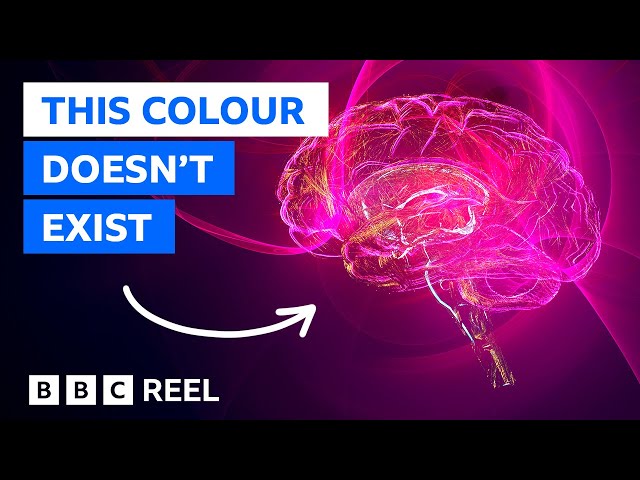 Magenta: The colour that doesn't exist – BBC REEL
