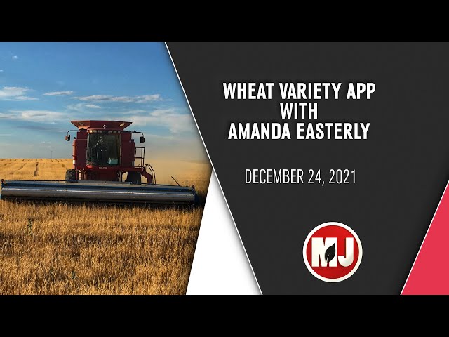 Wheat Variety App | December 24, 2021