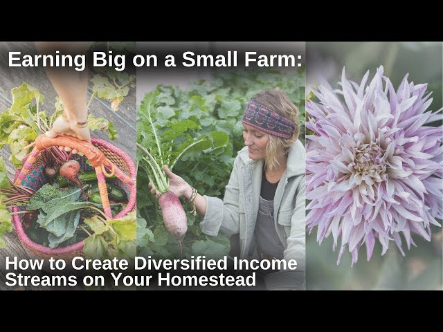 Earning Big on a Small Farm: How to Create Diversified Income Streams on Your Homestead