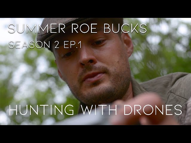 Roe Buck Stalking - Drones, malforms and culls