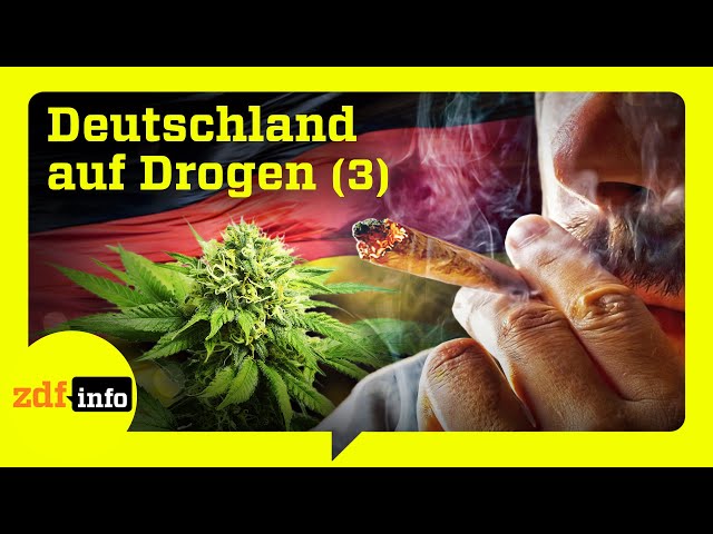 Provinz im Rausch: Cannabis-Hotspot an der deutschen Küste (Teil 3/3) | ZDFinfo Doku