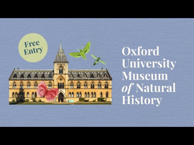 Discover the Museum of Natural History