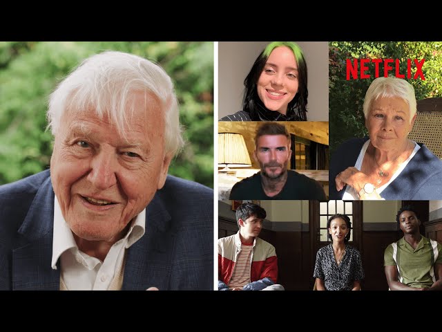 Sir David Attenborough Answers Questions From Famous Fans