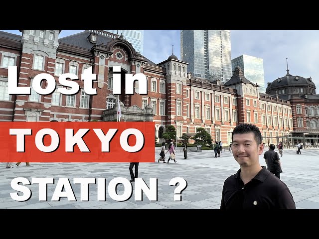 How to Get Around TOKYO STATION - Shinkansen, N'EX, Airport Buses.