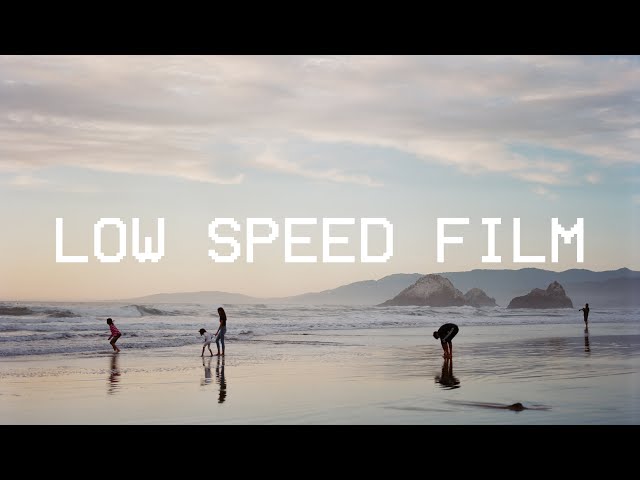 LOW SPEED Film Comparison // Mamiya RB67 Pro SD