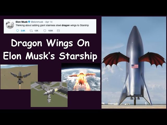 Dragon Wings On Elon Musk's Starship?