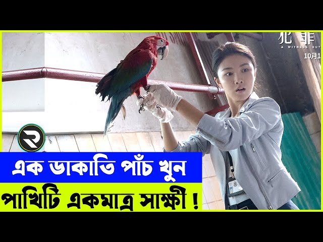 পাখিটি ৫ টি খুনের একমাত্র সাক্ষী ! Movie explanation In Bangla | Random Video Channel