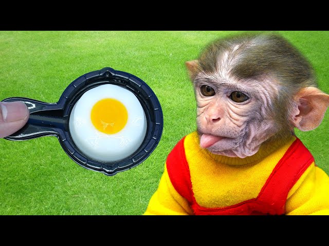 Baby Monkey Ben Ben eats mini eggs and washes clothes