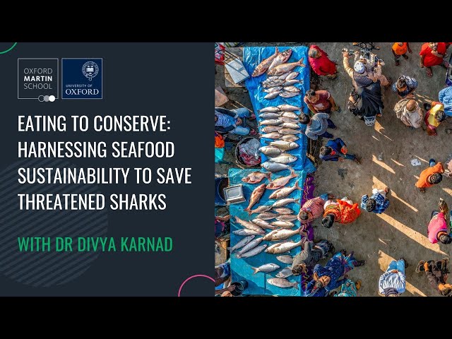 'Eating to conserve: harnessing seafood sustainability to save threatened sharks' with Divya Karnad