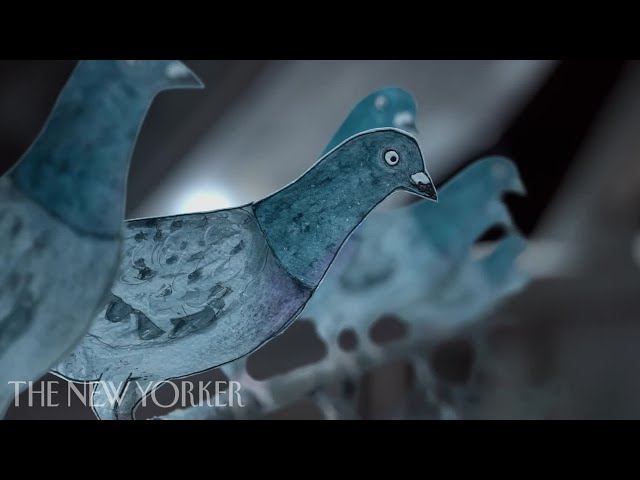 Do Not Feed the Pigeons: A Moment of Magic, Courtesy of Pigeons | The New Yorker Screening Room