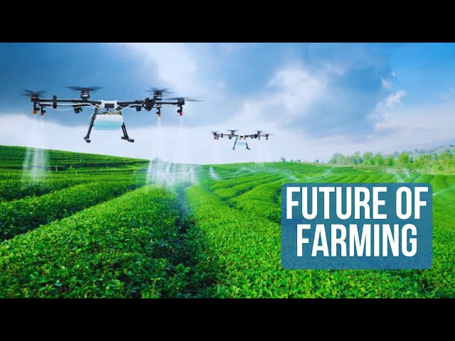THE FUTURE OF FARMING | HOW AI IS CHANGING AGRICULTURE AS WE KNOW IT