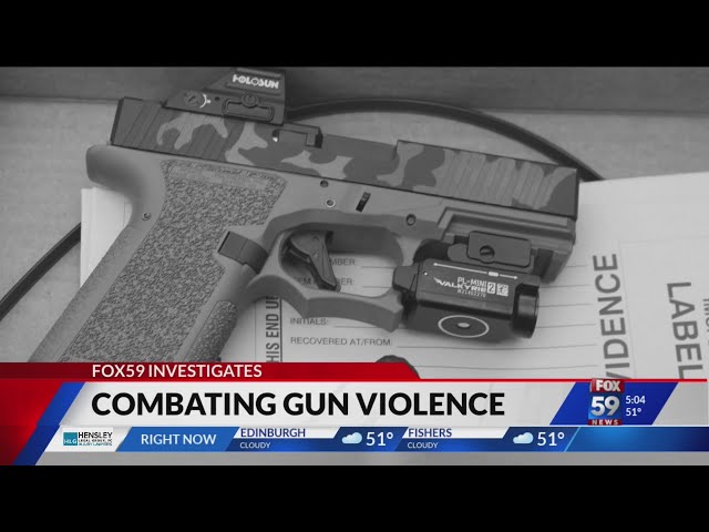 Combating Gun Violence