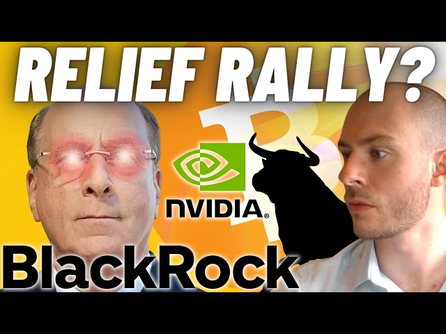 Just A Relief Rally... Major Cross Roads For Crypto! Does BlackRock Own 12,224 Bitcoin !?!  NDVA UP!