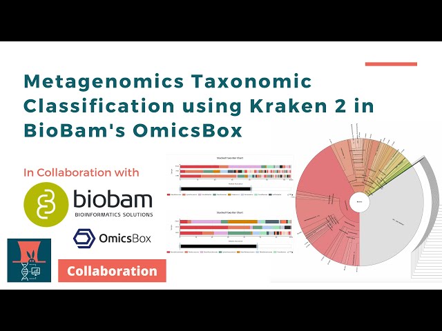 Metagenomics Taxonomic Classification using Kraken 2 in BioBam's OmicsBox