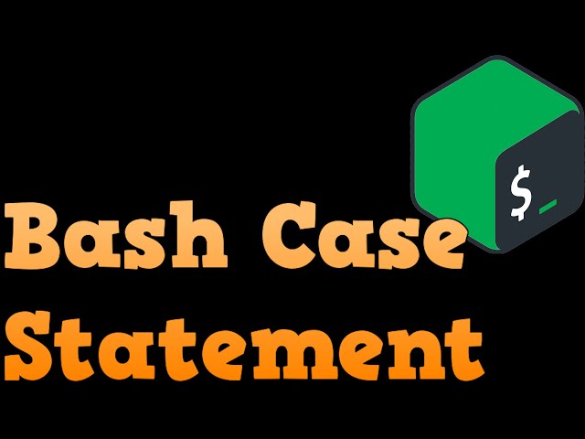 Bash Shell Scripting For Beginners - Case Statement