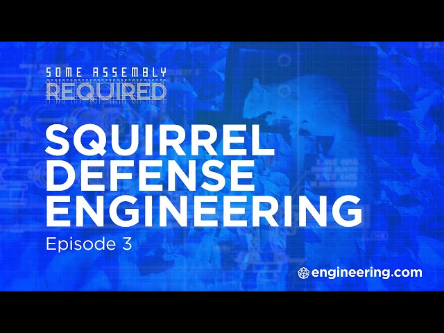 Squirrel Defense Engineering