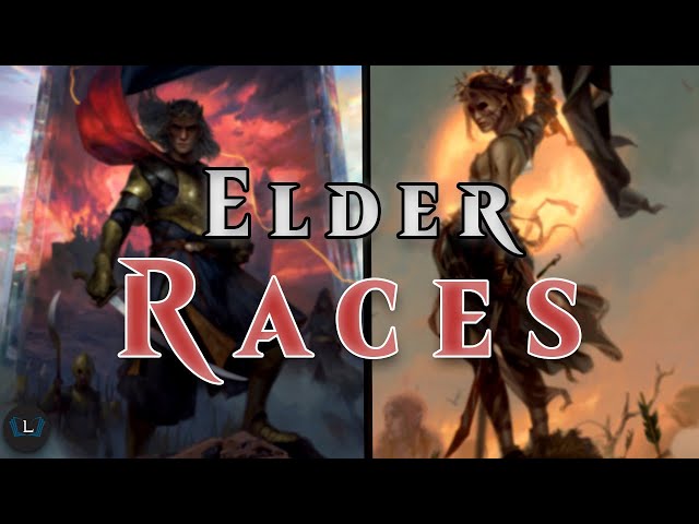 The Elder Races | Witcher Explained Part 4 | Witcher Lore
