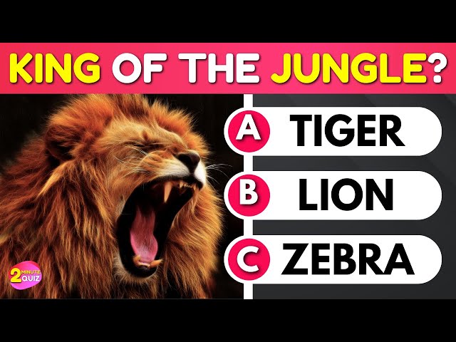 Guess The Animal | 2 Minute Animal Quiz