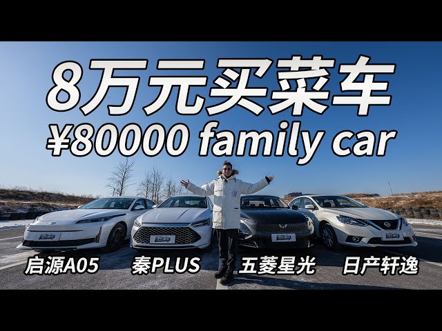 8万元买菜车横评 RMB 80,000 family car review