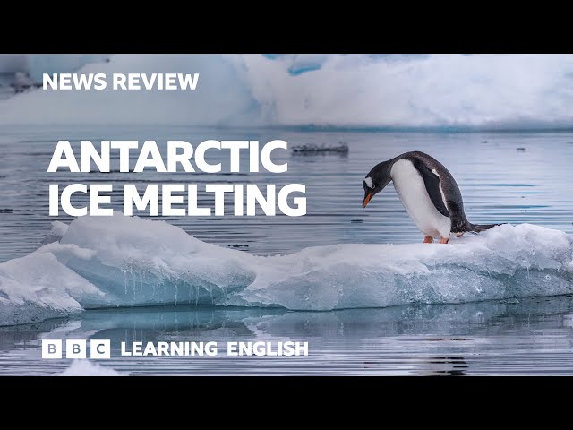 Antarctic ice melting: BBC News Review