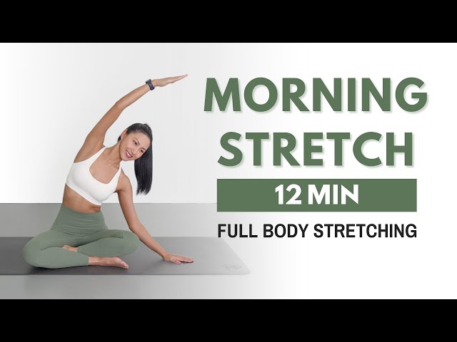 MORNING STRETCH for every day - Full Body Stretching to wake up