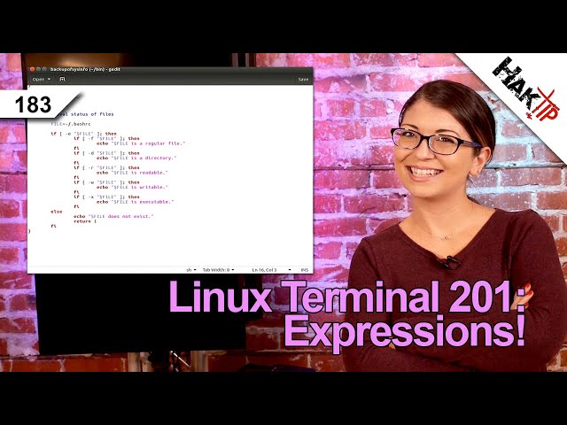 Expressions in Shell Scripts | Linux Terminal 201 - HakTip 183