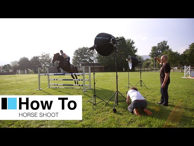 broncolor 'How To' shoot a horse portrait!