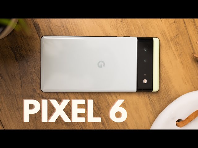 Buat Foto, Pixel Emang Jagoan! Review Google Pixel 6 Indonesia