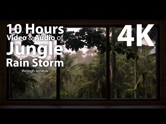 4K HDR 10 hours - Jungle Rain Storm - relaxation, calming, ambient, mindfulness