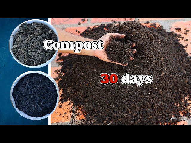 How to make compost from cow manure | Easy to make compost for beginner