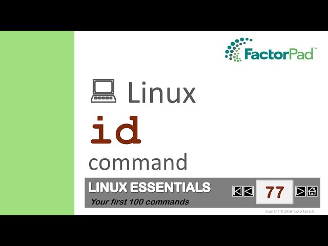 Linux id command summary with examples