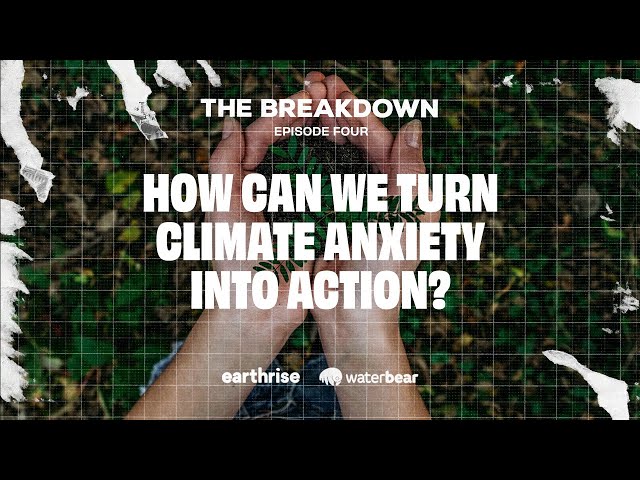 How To Turn Climate Anxiety Into Action
