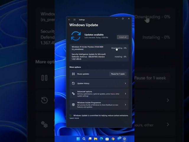 Windows 11 New Update Beings New Account Settings (Build 25126)
