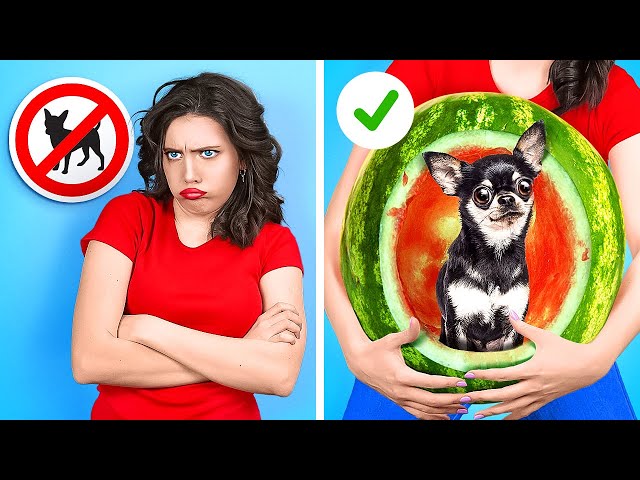 Unusual Ways To Sneak Pets Anywhere! 🐶🍉🎒 Smart Hacks And Funny Situations By A PLUS SCHOOL!