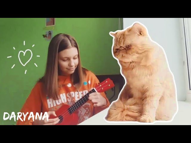 singing with my cat Happy Birthday song I wrote for a friend in Ukrainian language