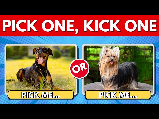 Pick One, Kick One! Dog Edition 🐶🤔 | Which Dog Is Your Favorite?