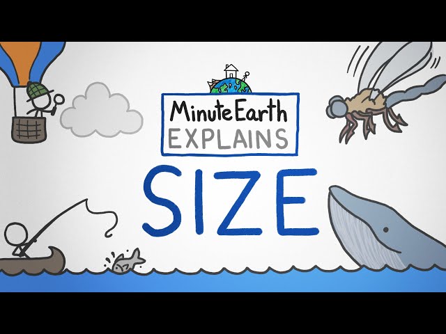 MinuteEarth Explains: Size