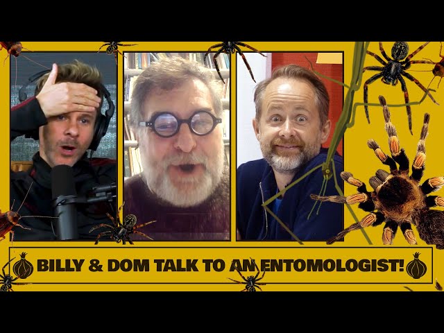 Billy & Dom Talk to an Entomologist!