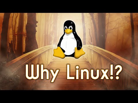 Why Choose Linux over Windows or MacOS?