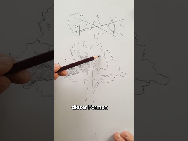Bäume zeichnen leicht gemacht 🌳