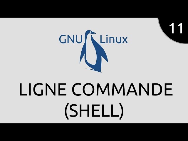 GNU/Linux #11 - ligne commande (shell)
