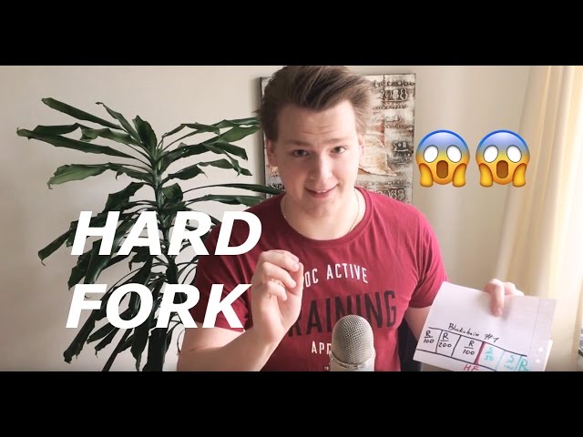 What happens to your coins in a hardfork? Programmer explains.
