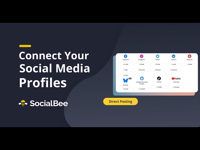 Connect Your Social Media Profiles | SocialBee