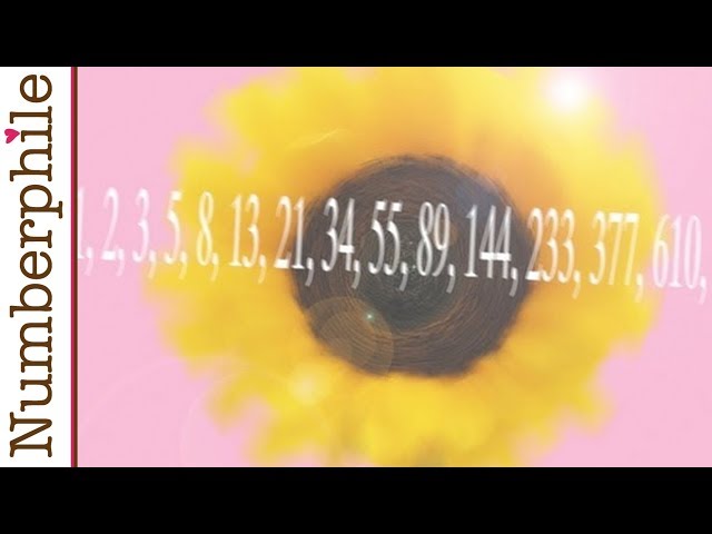 Sunflowers and Fibonacci - Numberphile