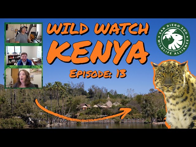 Wildwatch with Us: Ep. 13