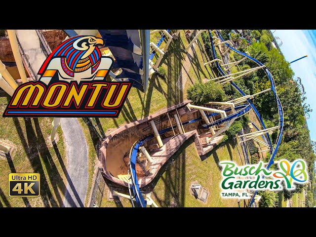 2020 Montu Roller Coaster Front and Back Row On Ride Ultra HD 4K POV Busch Gardens Tampa