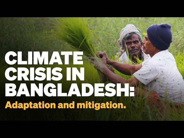 Farmers fighting the climate crisis in Bangladesh